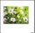 2535-255 (5) Часы настенные 